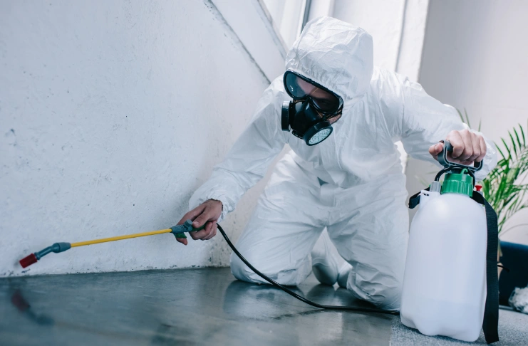 Pest control strategies for restaurants