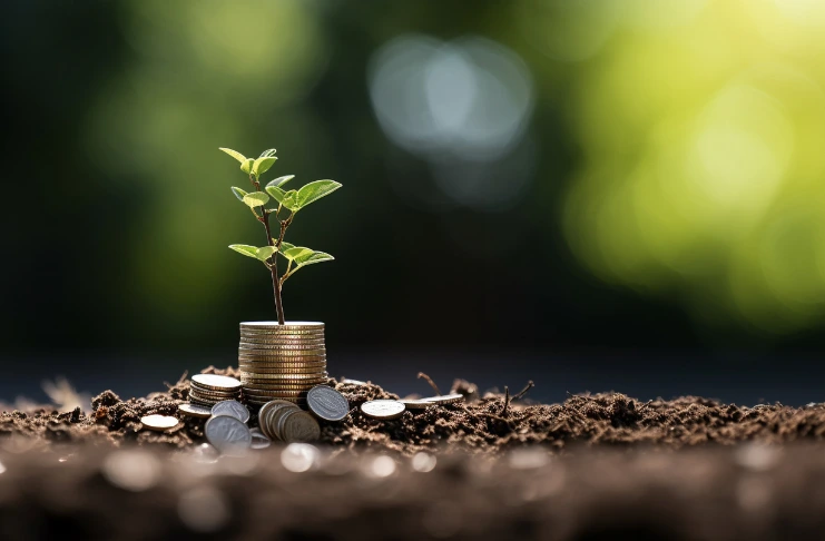 Real-World Impact: How Strategic Pricing Drives Profit