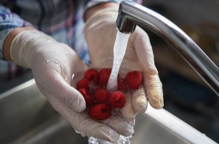Understand Food Safety and Hygiene Regulations before opening a restaurant in the UK