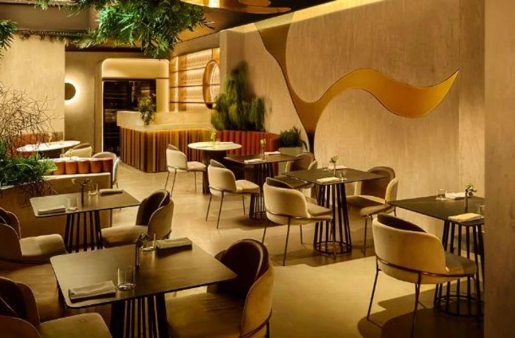 Learn about the euphoria singapore experience