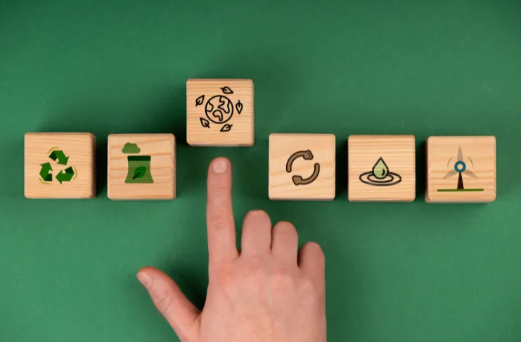 10. Sustainability Expectations
