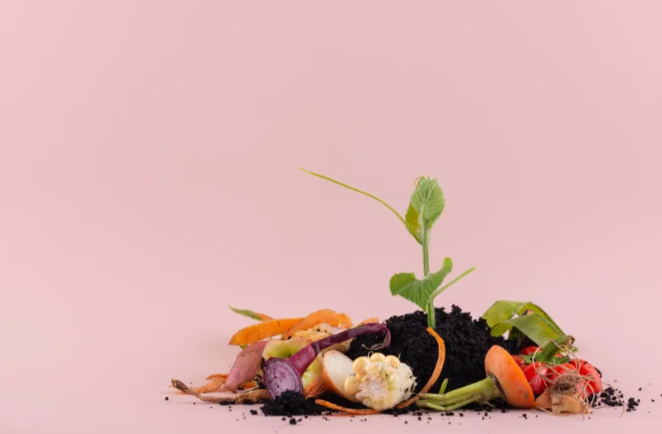8. Food Waste Management