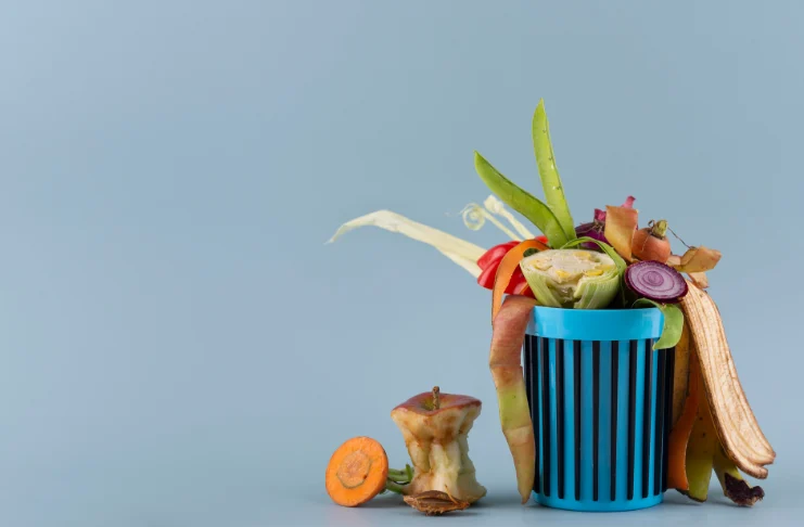 Reducing Food Waste: A Sustainability & Profit Strategy