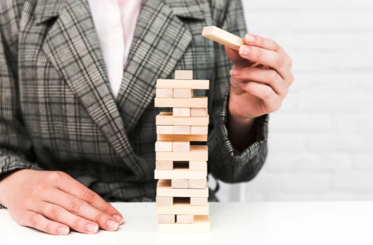Company Overview and Business Structure