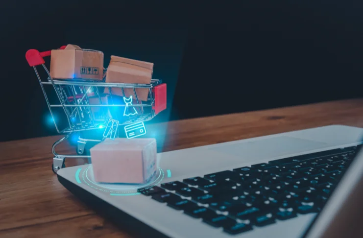 E-commerce Companies and E-commerce Platforms