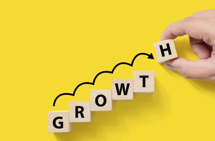 Expansion Strategies and Growth Planning