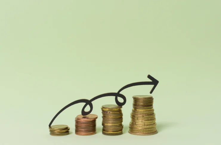 Managing Profit Margins