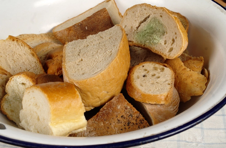 Common Factors That Cause Staling and Spoilage of Baked Goods