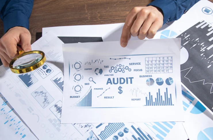 Regular Auditing and Review Processes