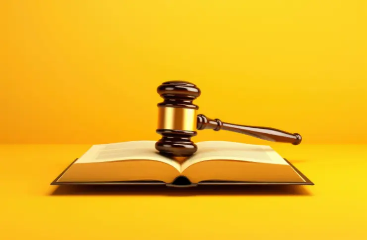 Step 2: Understand Legal Requirements and Obtain Necessary Licenses