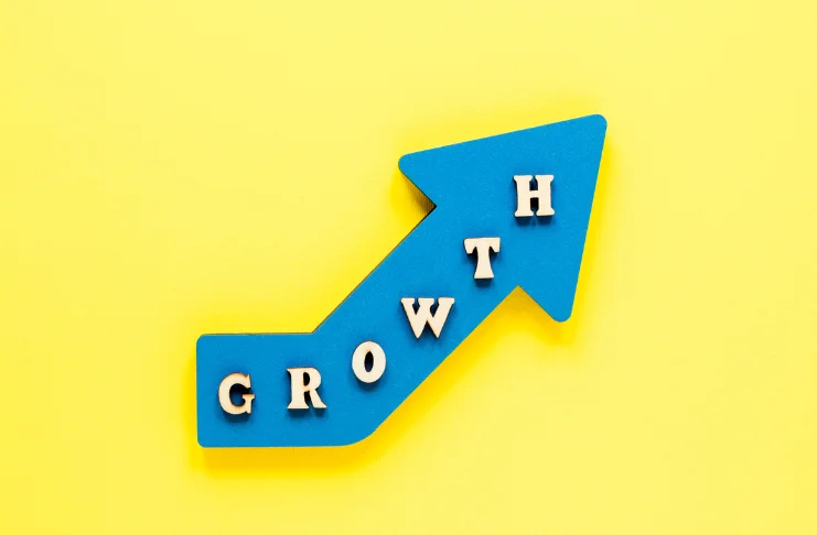 Strategic Growth and Expansion