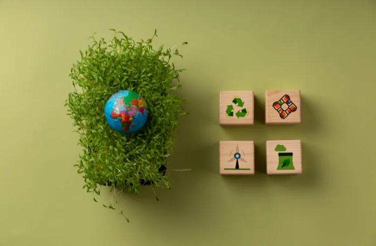 Sustainability and Eco-Friendly Practices