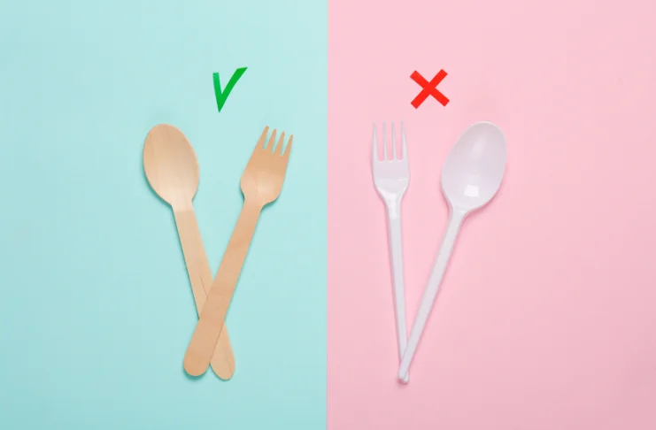 The Great Alternative to Plastic Use in Modern Dining