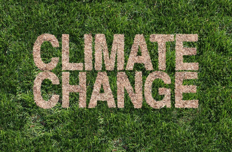 The Role of Climate Change and Food Security