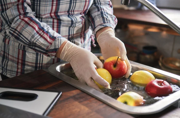 Hygiene and Food Safety Standards