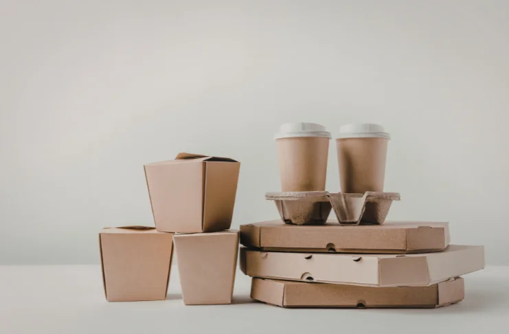 Sustainability and Environmental Consciousness