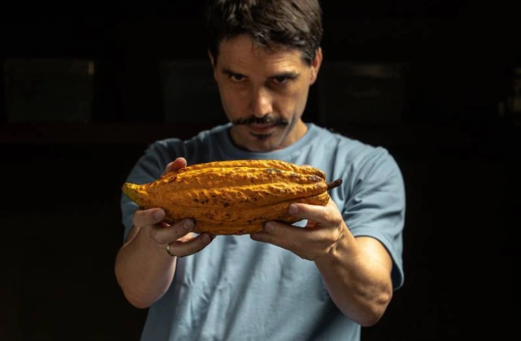 Seven years of research on Cocoa