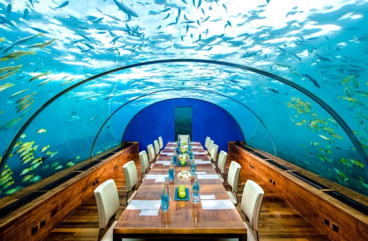 Diving Five Meters Down at Ithaa undersea restaurant