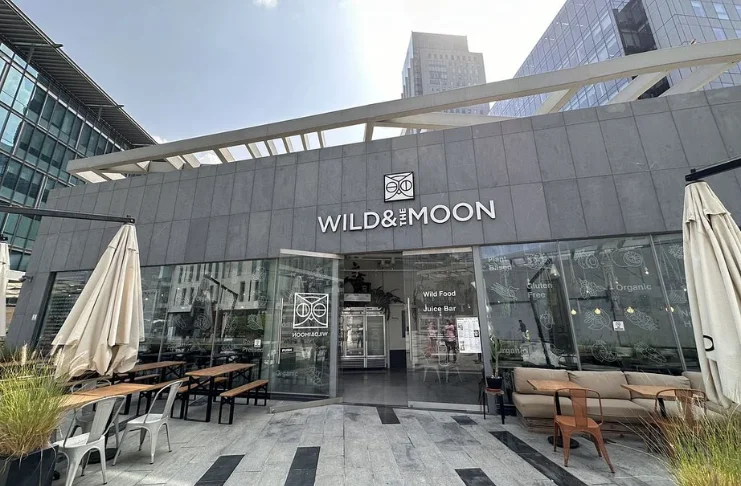wild & the moon