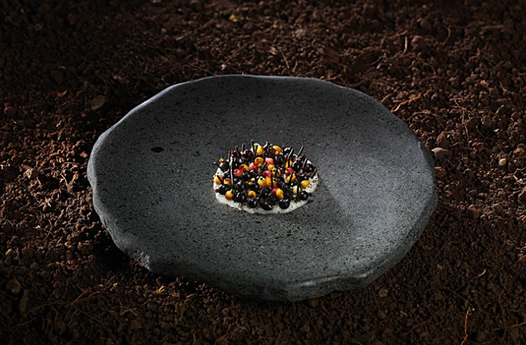 The Experience of Eating at Boragó
