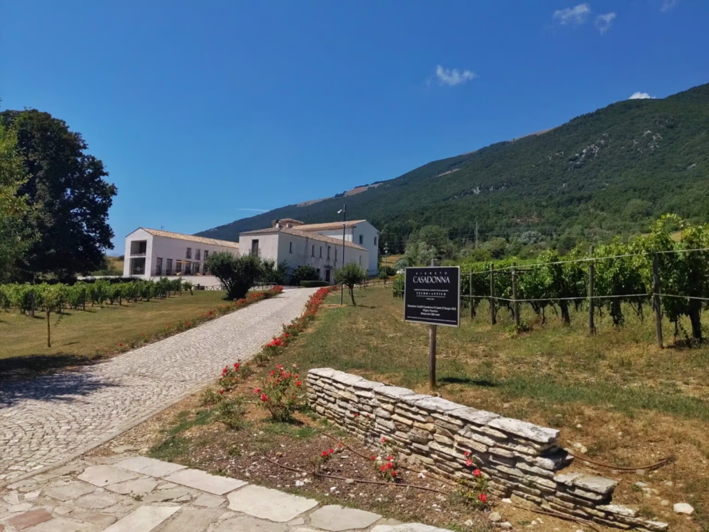 The Ecosystem As a Whole at Reale